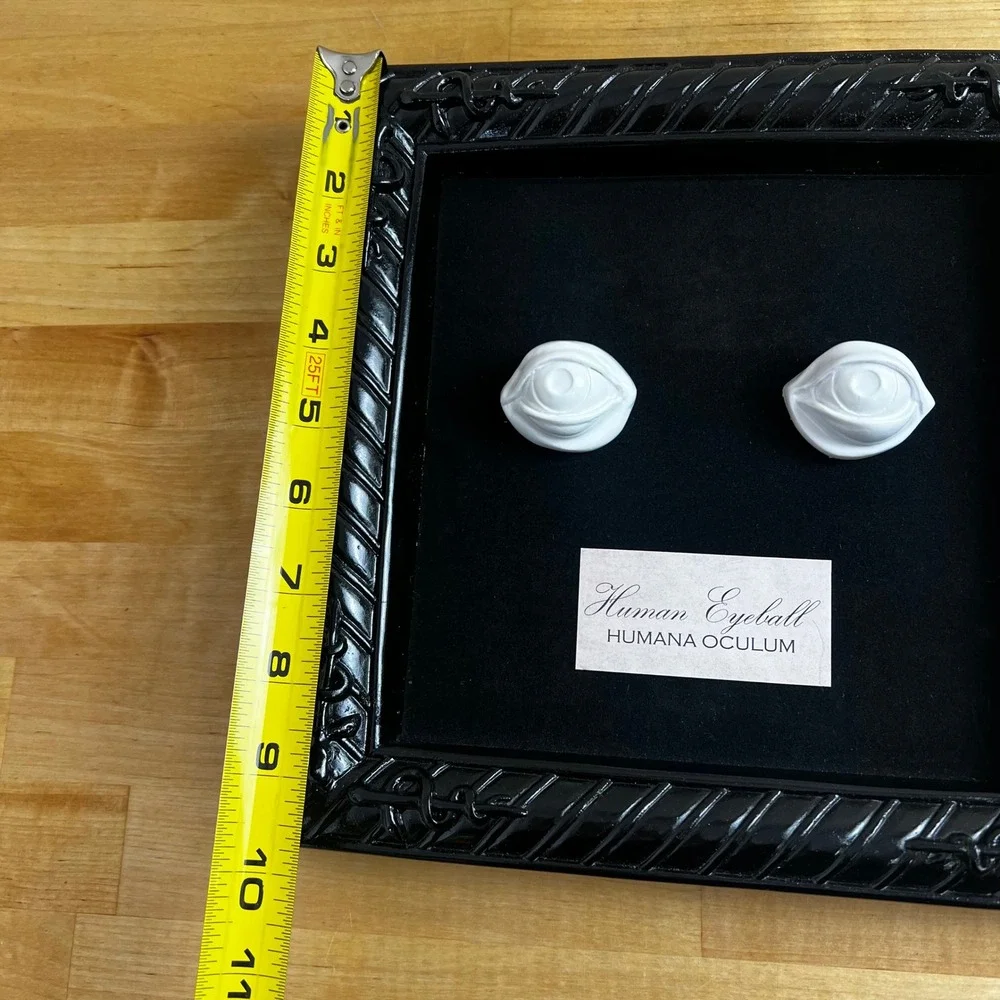 Metal Framed Human Eyeball Lab Specimen Halloween Square Wall Decor‎ Seasons USA